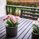 Bellman - Pet Friendly With Parking - Free Off-site Health Club Access With Pool, Sauna, Steam & Gym Short 10 Minute Drive Away *