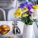 Bellman - Pet Friendly With Parking - Free Off-site Health Club Access With Pool, Sauna, Steam & Gym Short 10 Minute Drive Away *