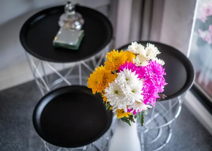 Bellman - Pet Friendly With Parking - Free Off-site Health Club Access With Pool, Sauna, Steam & Gym Short 10 Minute Drive Away *