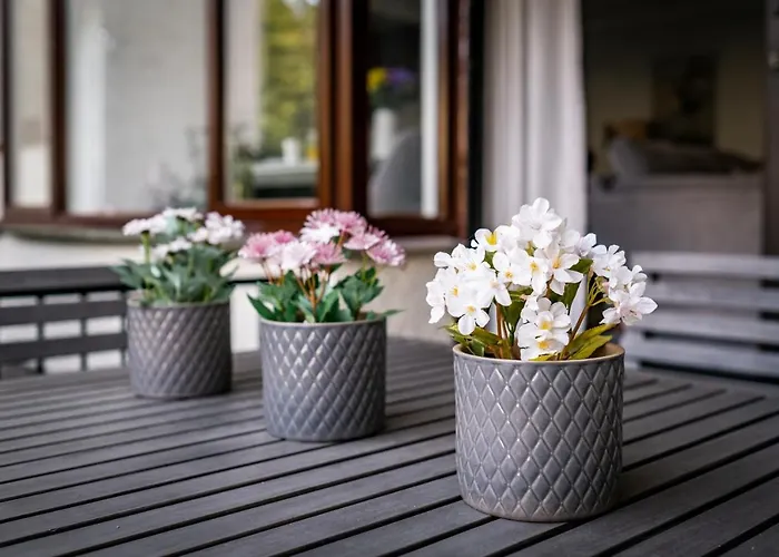 Bellman - Pet Friendly With Parking - Free Off-site Health Club Access With Pool, Sauna, Steam & Gym Short 10 Minute Drive Away Appartement *