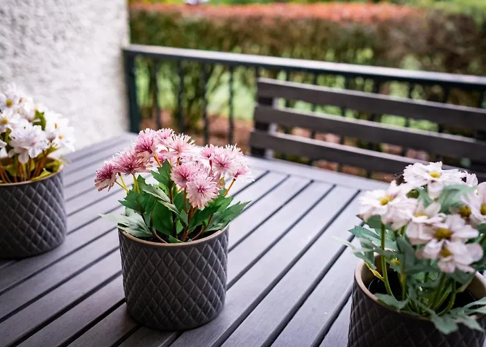 Bellman - Pet Friendly With Parking - Free Off-site Health Club Access With Pool, Sauna, Steam & Gym Short 10 Minute Drive Away *