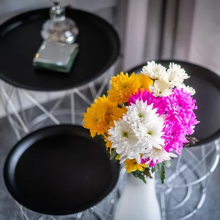 Bellman - Pet Friendly With Parking *