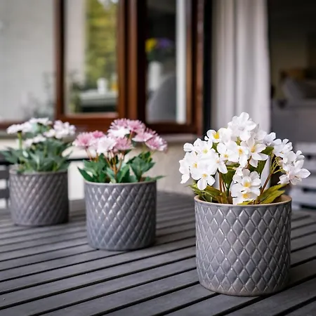 Bellman - Pet Friendly With Parking Appartement *