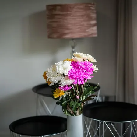 Appartement Bellman - Pet Friendly With Parking Winster (Cumbria)