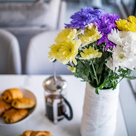 Bellman - Pet Friendly With Parking *