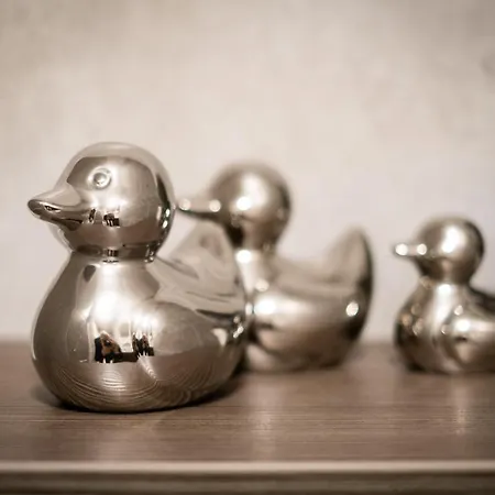 Bellman - Pet Friendly With Parking - Free Off-site Health Club Access With Pool, Sauna, Steam & Gym Short 10 Minute Drive Away *