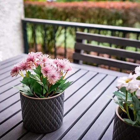 Bellman - Pet Friendly With Parking - Free Off-site Health Club Access With Pool, Sauna, Steam & Gym Short 10 Minute Drive Away *